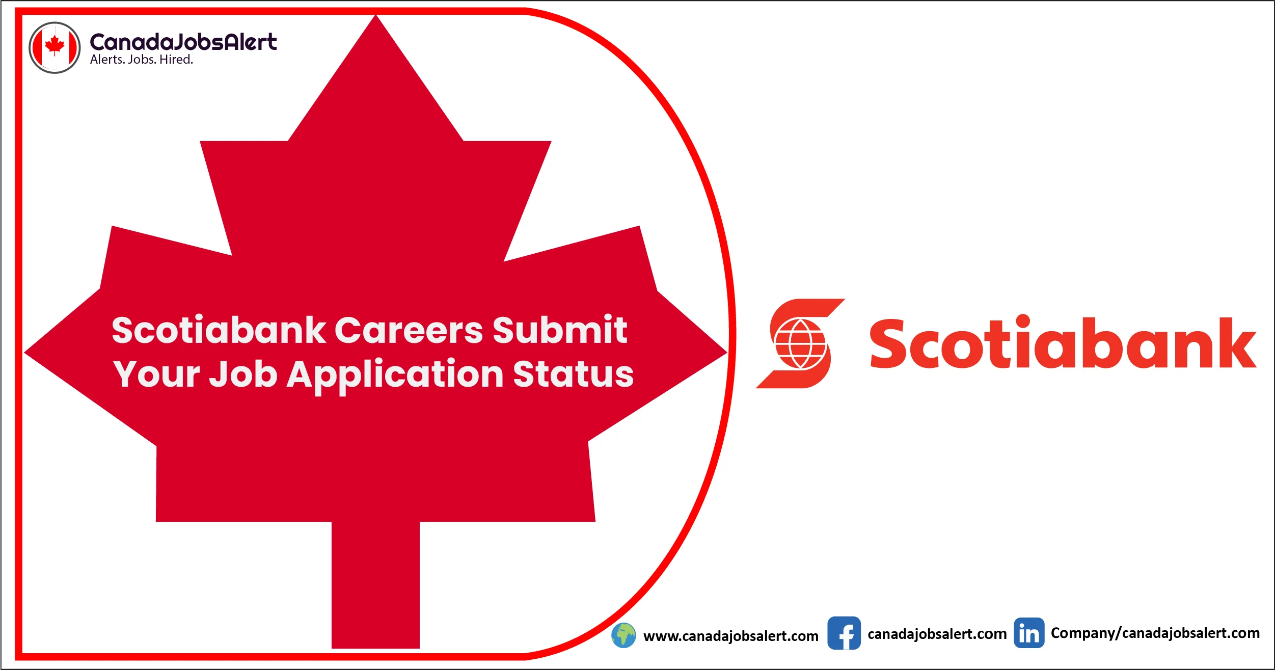 Scotiabank Careers