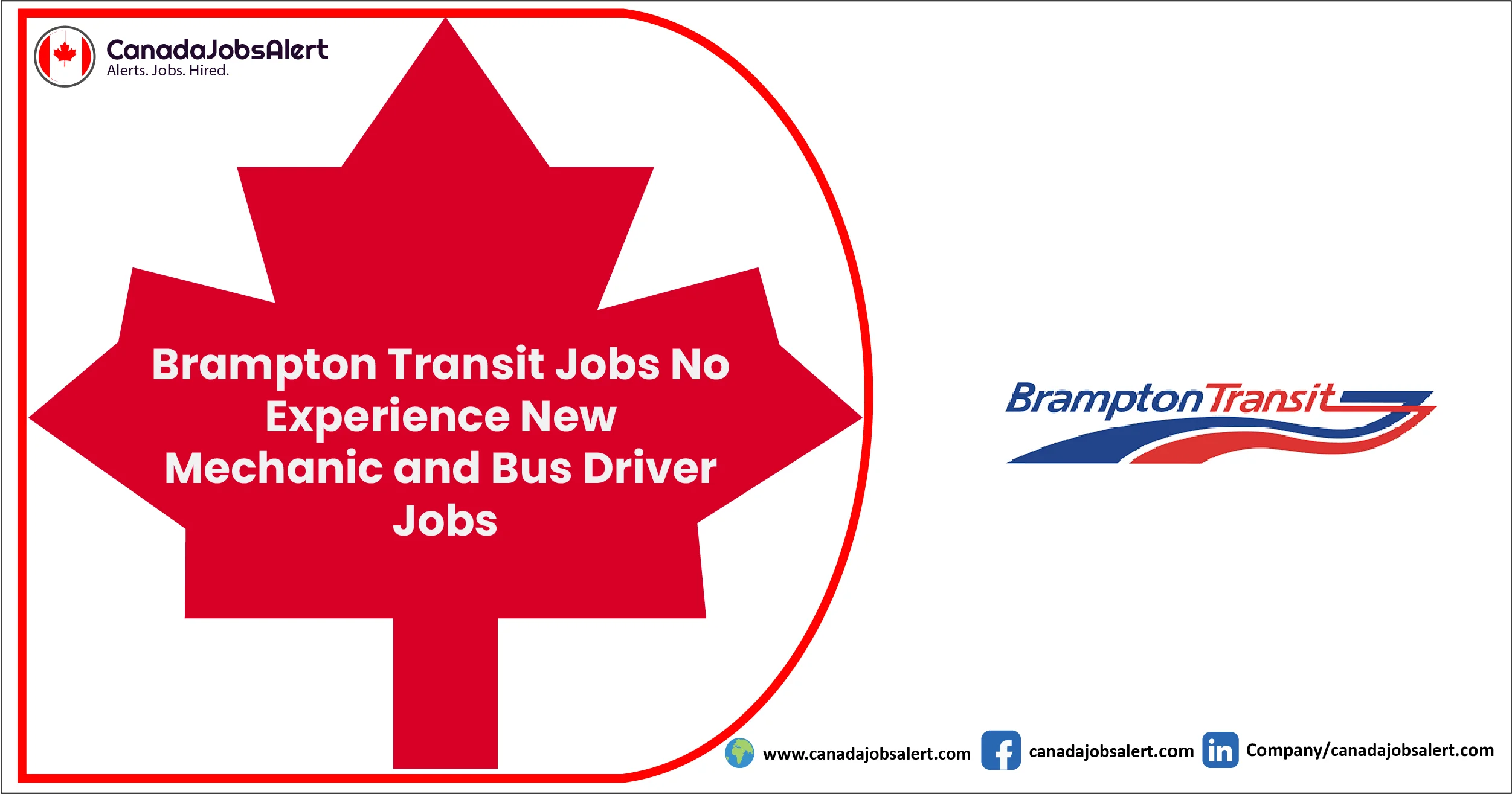 Brampton Transit Jobs